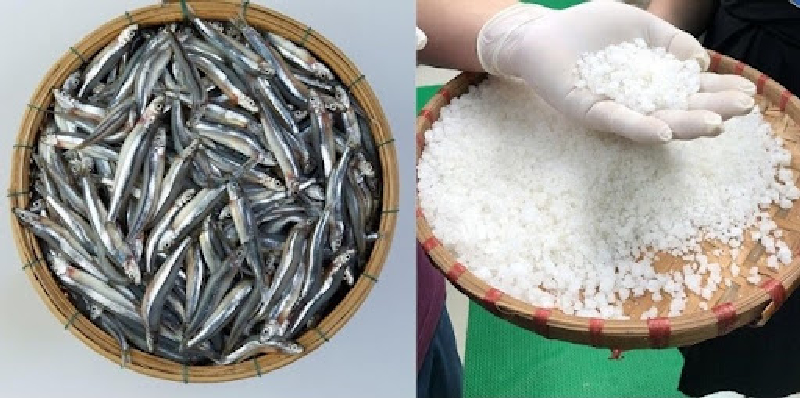 Hai nguyên liệu chính trong cách muối mắm cá cơm