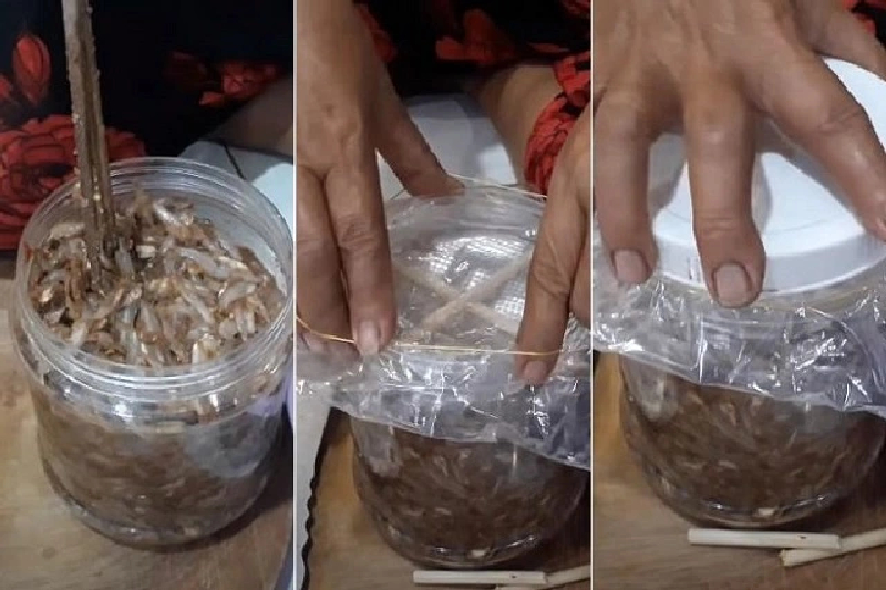 Thời gian ủ thường từ 20 đến 30 ngày là hoàn thành mắm cá cơm