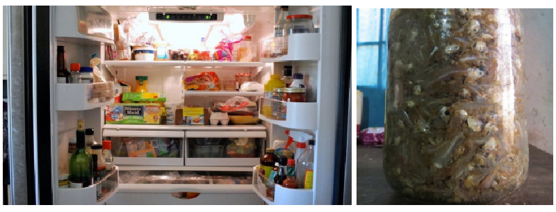 Cách bảo quản mắm nêm đúng cách